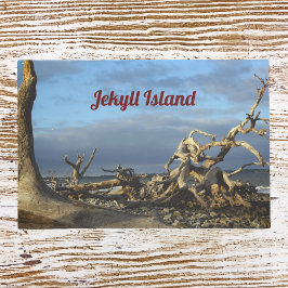 Driftwood Beach op Jekyll Island Doormat Deurmat