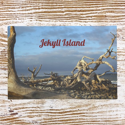 Driftwood Beach op Jekyll Island Doormat Deurmat