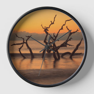 Driftwood Beach op Sunrise Jekyll Island Georgia