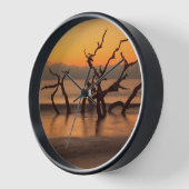 Driftwood Beach op Sunrise Jekyll Island Georgia (Hoek)