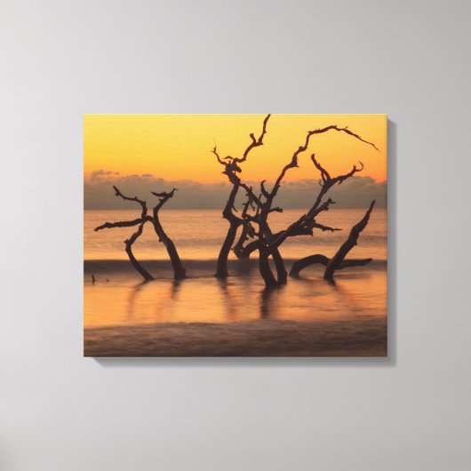 Driftwood Beach op Sunrise Jekyll Island Georgia Canvas Afdruk (Voorkant)