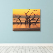 Driftwood Beach op Sunrise Jekyll Island Georgia Canvas Afdruk (Insitu (Houten vloer))