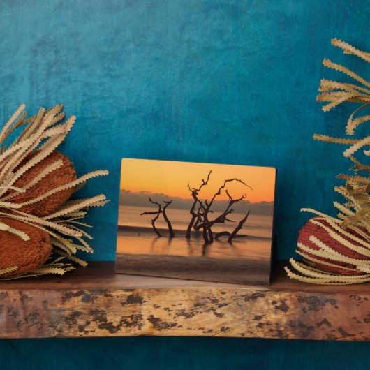 Driftwood Beach op Sunrise Jekyll Island Georgia Fotoplaat (Zijkant)