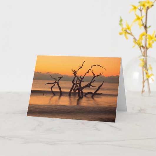 Driftwood Beach op Sunrise Jekyll Island Georgia Kaart (Gele Bloem)