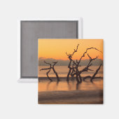 Driftwood Beach op Sunrise Jekyll Island Georgia Magneet (Voorkant / Achterkant)