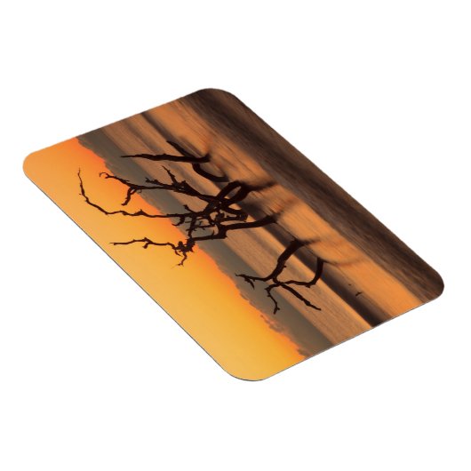 Driftwood Beach op Sunrise Jekyll Island Georgia Magneet (Rechterzijde)