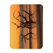 Driftwood Beach op Sunrise Jekyll Island Georgia Magneet (Verticaal)