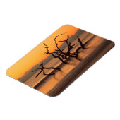 Driftwood Beach op Sunrise Jekyll Island Georgia Magneet (Linkerzijde)