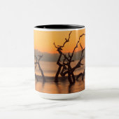 Driftwood Beach op Sunrise Jekyll Island Georgia Mok (Midden)