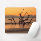 Driftwood Beach op Sunrise Jekyll Island Georgia Muismat (Met muis)