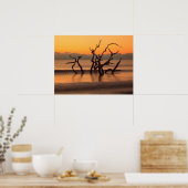 Driftwood Beach op Sunrise Jekyll Island Georgia Poster (Keuken)