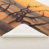 Driftwood Beach op Sunrise Jekyll Island Georgia Sherpa Deken (3/4)