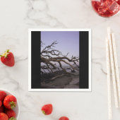 Driftwood Beach Papier Servet (Insitu)