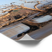 Driftwood Beach Poster (Hoek)