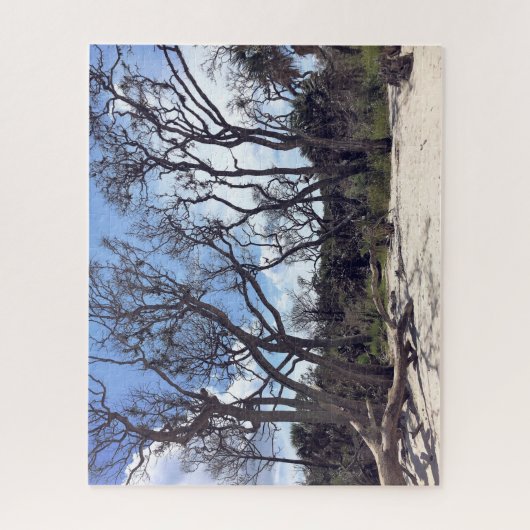 Driftwood Beach Puzzle Legpuzzel (Verticaal)