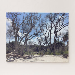 Driftwood Beach Puzzle Legpuzzel
