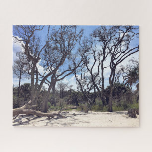 Driftwood Beach Puzzle Legpuzzel