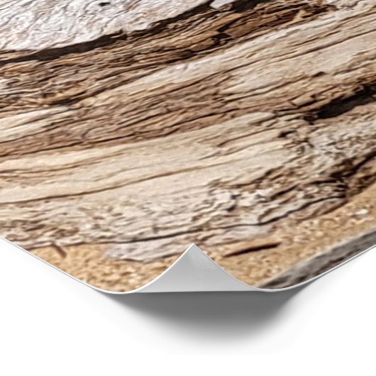 Driftwood Beach Scene Poster (Hoek)