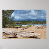 Driftwood Beach Scene Poster (Voorkant)