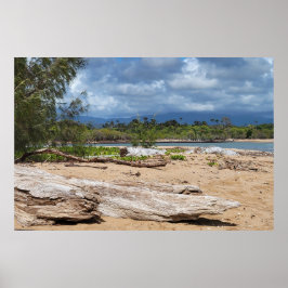 Driftwood Beach Scene Poster
