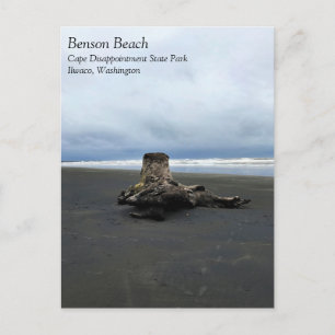 Driftwood bij Benson Beach, Cape Diseption, WA Briefkaart