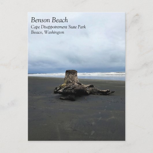 Driftwood bij Benson Beach, Cape Diseption, WA Briefkaart (Voorkant)