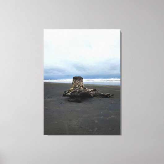 Driftwood bij Benson Beach, Cape Diseption, WA Canvas Afdruk (Voorkant)