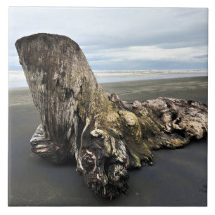 Driftwood bij Benson Beach, Cape Diseption, WA Tegeltje