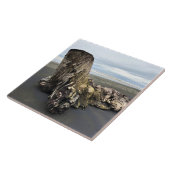 Driftwood bij Benson Beach, Cape Diseption, WA Tegeltje (Zijkant)