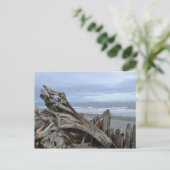 Driftwood bij het strand briefkaart (Staand voorkant)