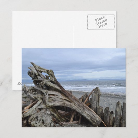Driftwood bij het strand briefkaart (Voorkant / Achterkant)