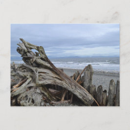 Driftwood bij het strand briefkaart