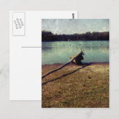 Driftwood Briefkaart (Voorkant / Achterkant)