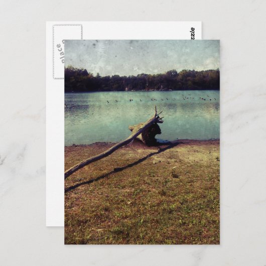 Driftwood Briefkaart (Voorkant / Achterkant)