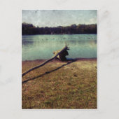 Driftwood Briefkaart (Voorkant)