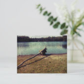 Driftwood Briefkaart (Staand voorkant)