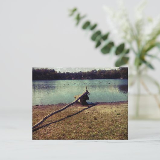 Driftwood Briefkaart (Staand voorkant)