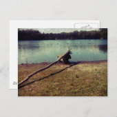 Driftwood Briefkaart (Voorkant / Achterkant)