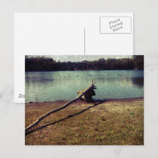 Driftwood Briefkaart (Voorkant / Achterkant)