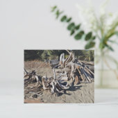 Driftwood Briefkaart (Staand voorkant)