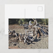 Driftwood Briefkaart (Voorkant / Achterkant)