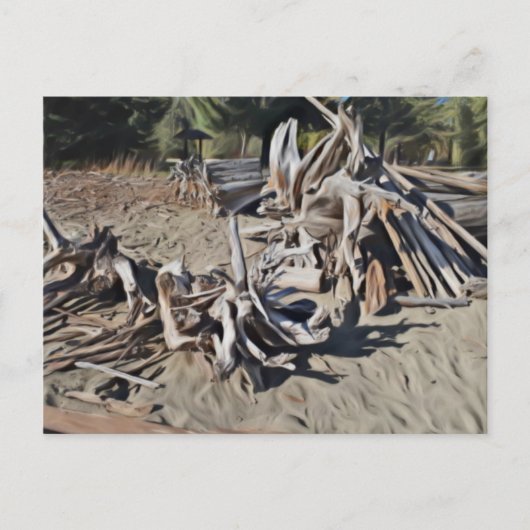 Driftwood Briefkaart (Voorkant)
