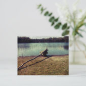 Driftwood Briefkaart (Staand voorkant)