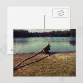 Driftwood Briefkaart (Voorkant / Achterkant)