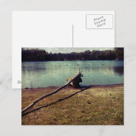 Driftwood Briefkaart (Voorkant / Achterkant)