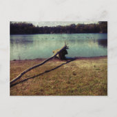 Driftwood Briefkaart (Voorkant)