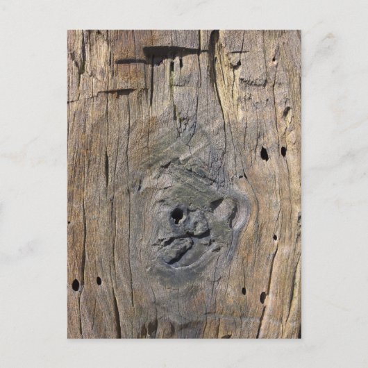 driftwood briefkaart (Voorkant)