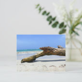 Driftwood Briefkaart (Staand voorkant)