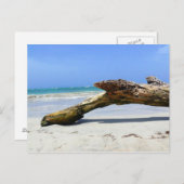 Driftwood Briefkaart (Voorkant / Achterkant)