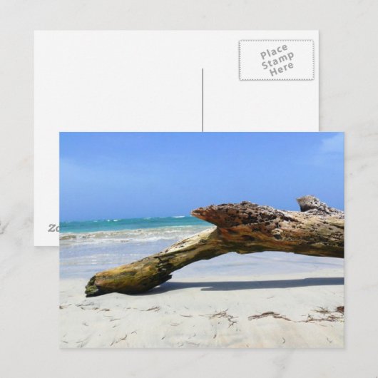 Driftwood Briefkaart (Voorkant / Achterkant)